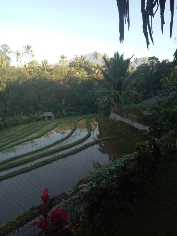 Babahan Farmstay Selemadeg المظهر الخارجي الصورة