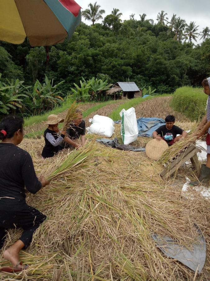 Babahan Farmstay Selemadeg المظهر الخارجي الصورة