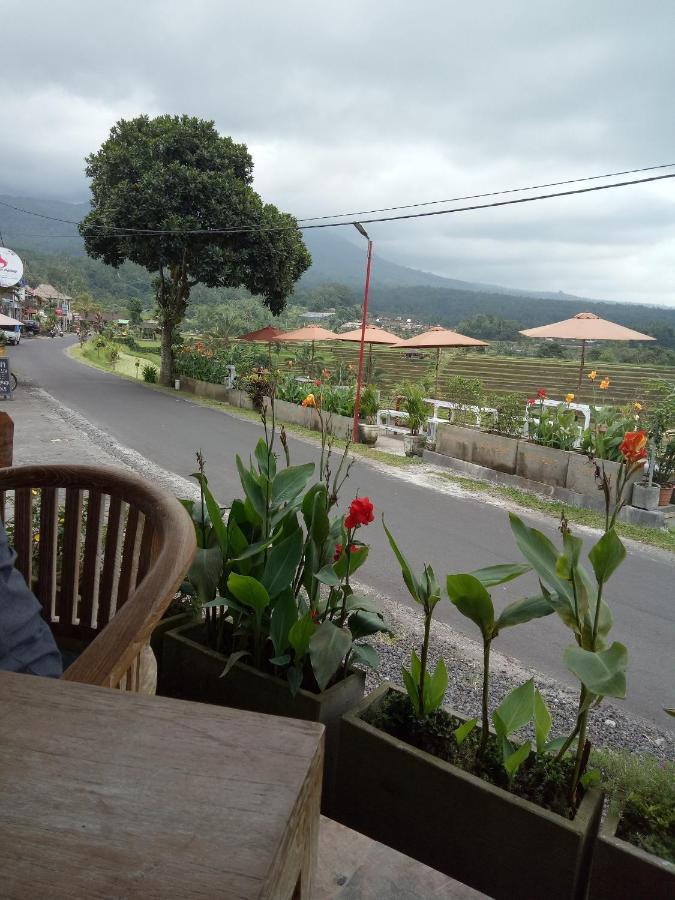 Babahan Farmstay Selemadeg المظهر الخارجي الصورة