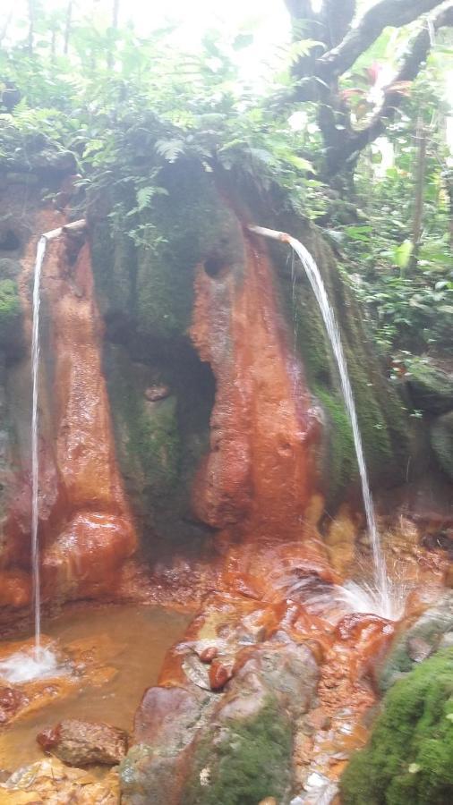 Babahan Farmstay Selemadeg المظهر الخارجي الصورة