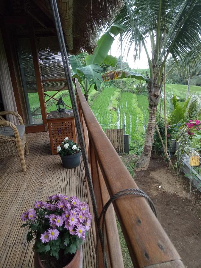 Babahan Farmstay Selemadeg المظهر الخارجي الصورة