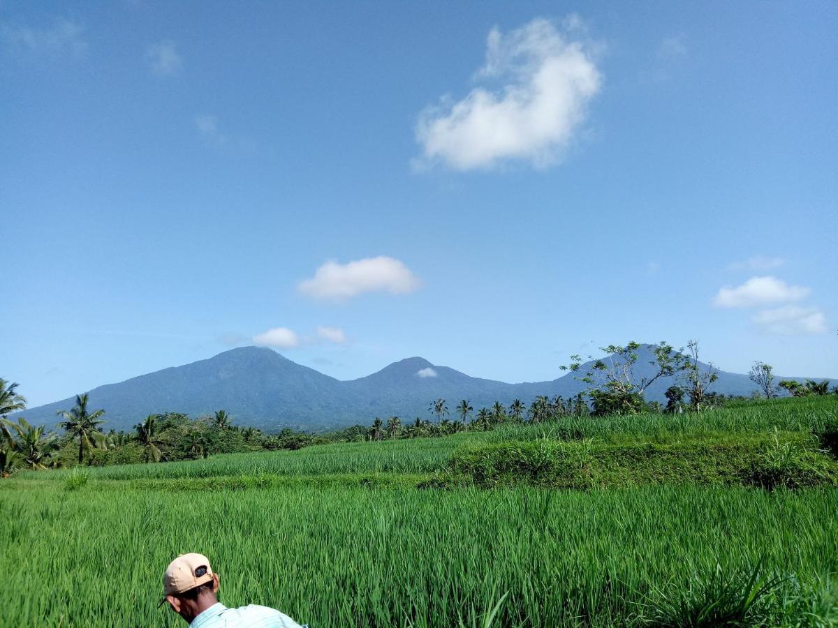 Babahan Farmstay Selemadeg المظهر الخارجي الصورة