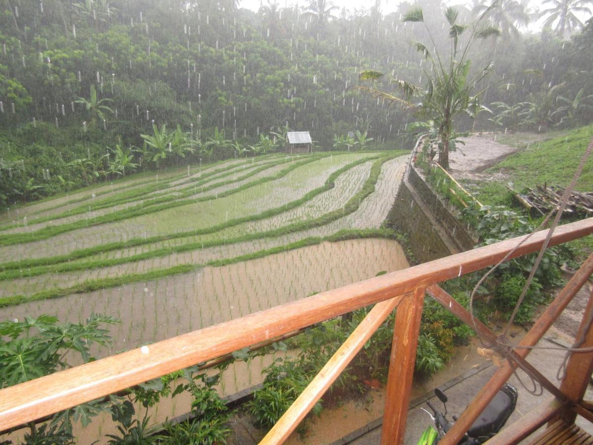Babahan Farmstay Selemadeg المظهر الخارجي الصورة