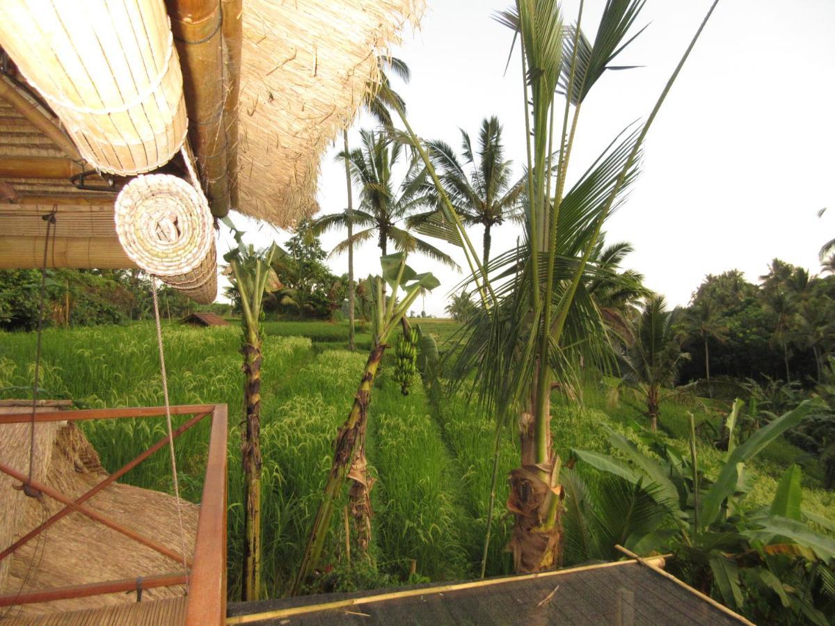 Babahan Farmstay Selemadeg المظهر الخارجي الصورة