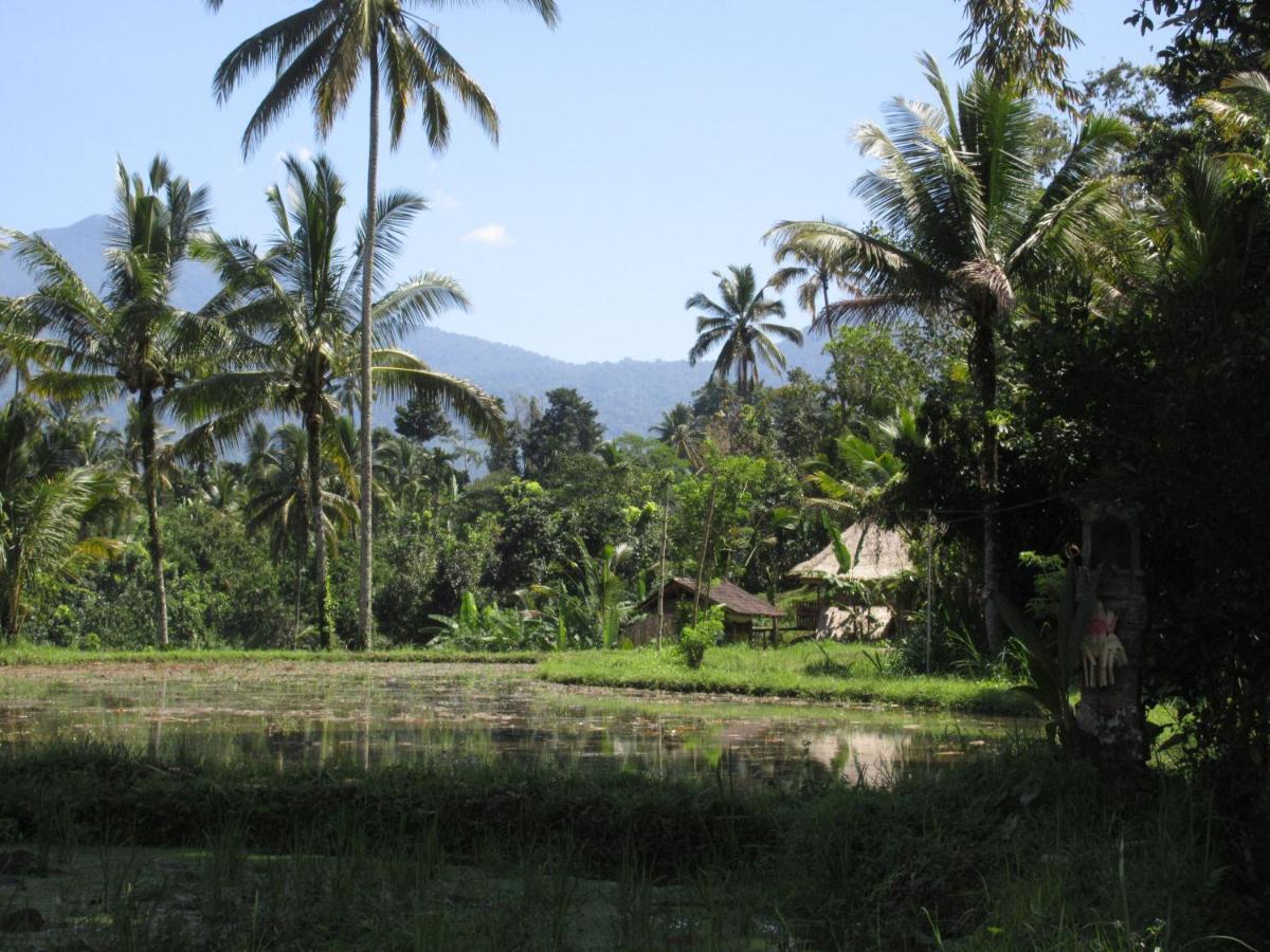 Babahan Farmstay Selemadeg المظهر الخارجي الصورة