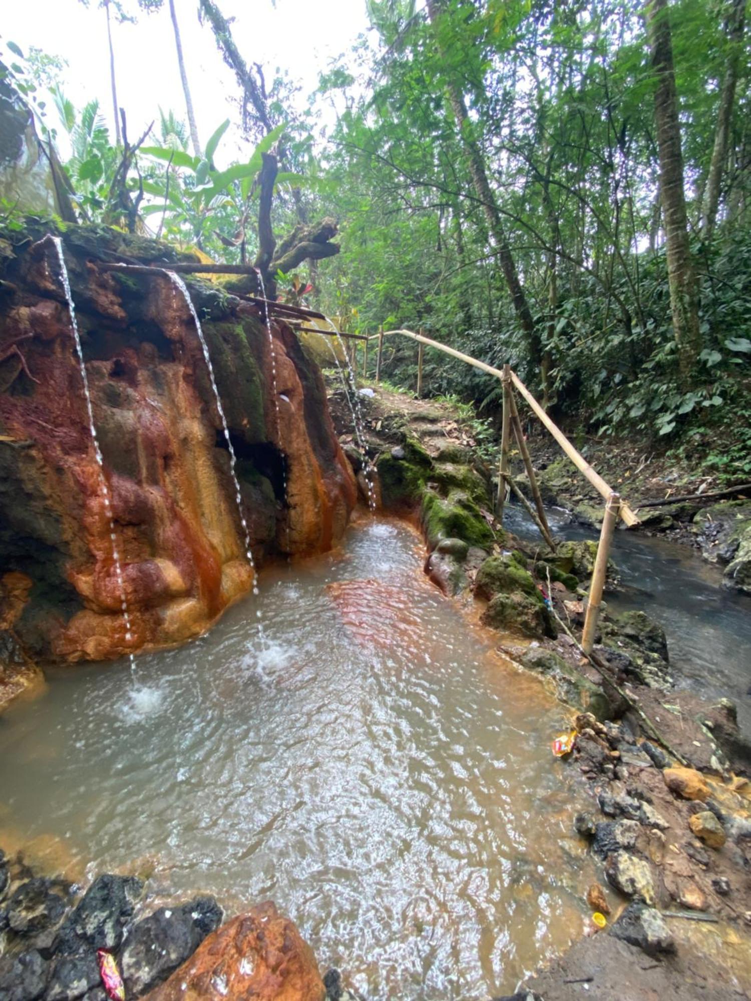 Babahan Farmstay Selemadeg المظهر الخارجي الصورة
